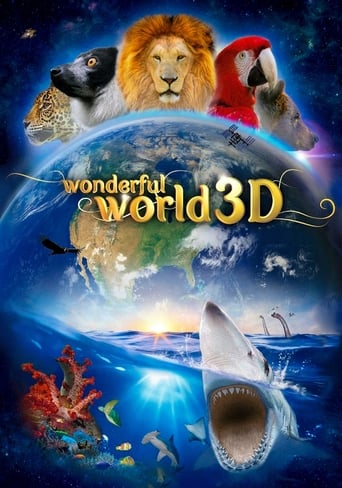 Poster of Wonderful World 3D