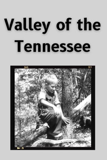 Poster of Valley of the Tennessee
