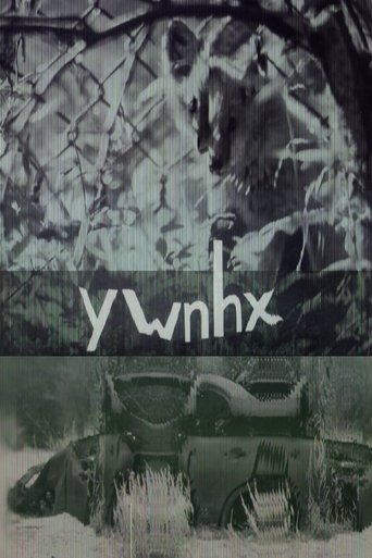 ywnhx Poster of ywnhx