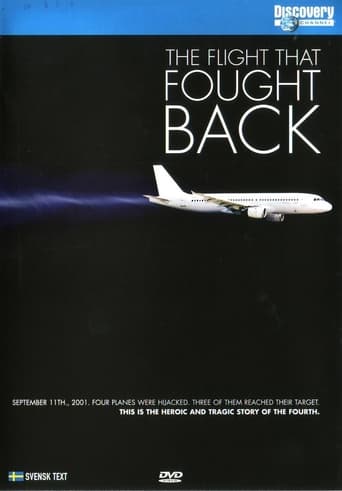 Poster of The Flight That Fought Back