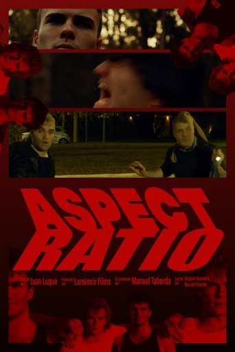 Poster of Aspect Ratio