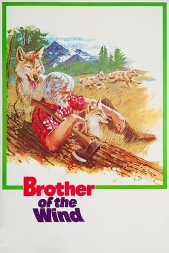 Poster of Brother of the Wind