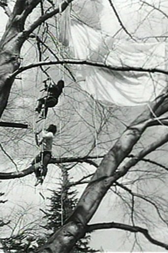 Tree Dance Poster of Tree Dance