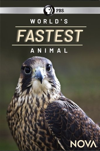 World's Fastest Animal Poster of World's Fastest Animal