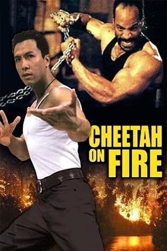 Poster of Cheetah on Fire