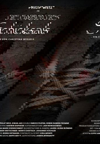 Poster of Die Farben des Schicksals