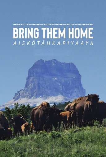 Bring Them Home Poster of Bring Them Home