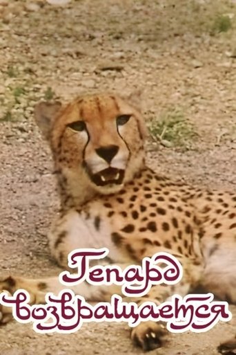 The Cheetah Comes Back Poster of The Cheetah Comes Back