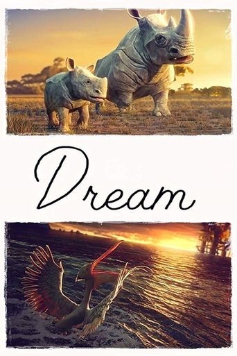 Dream Poster of Dream