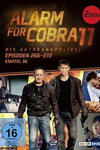 Portrait for Alarm for Cobra 11: The Motorway Police - Season 36