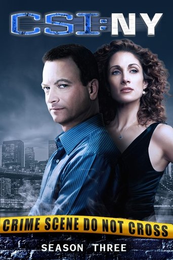 Portrait for CSI: NY - Season 3