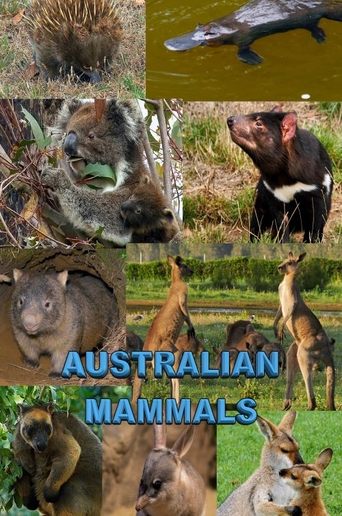 Australian Mammals Poster of Australian Mammals