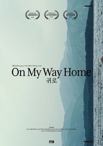 Poster of On my way Home