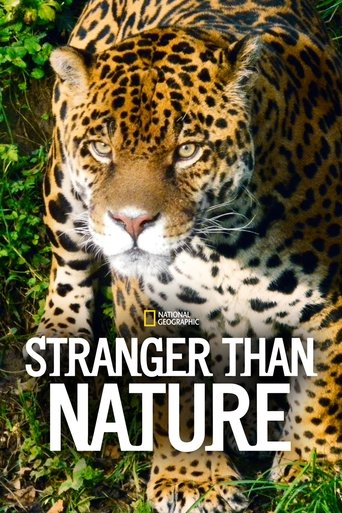 Portrait for Stranger Than Nature - Season 1