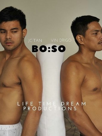 Poster of BO:SO