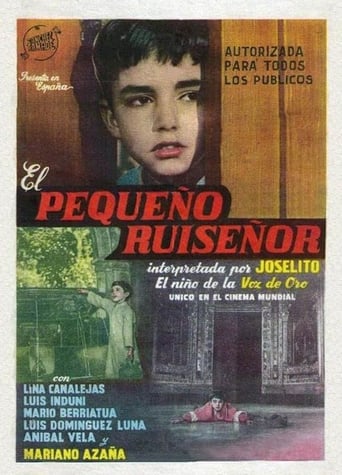 Poster of The Little Nightingale