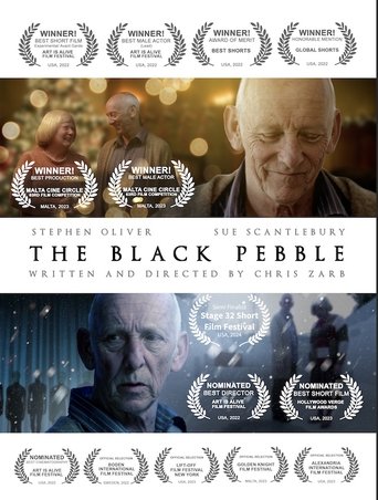 Poster of The Black Pebble