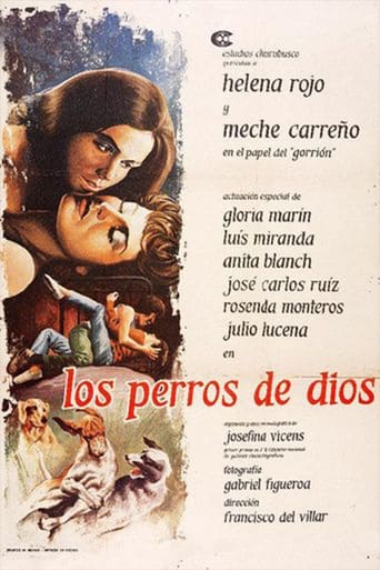 Poster of Los perros de Dios