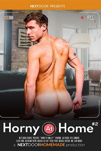 Poster of Horny at Home 2
