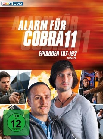 Portrait for Alarm for Cobra 11: The Motorway Police - Season 28