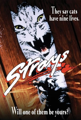 Poster of Strays