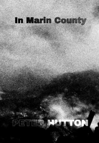 In Marin County Poster of In Marin County