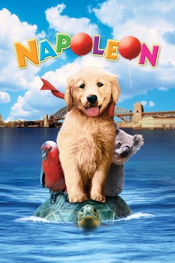 Poster of Napoleon