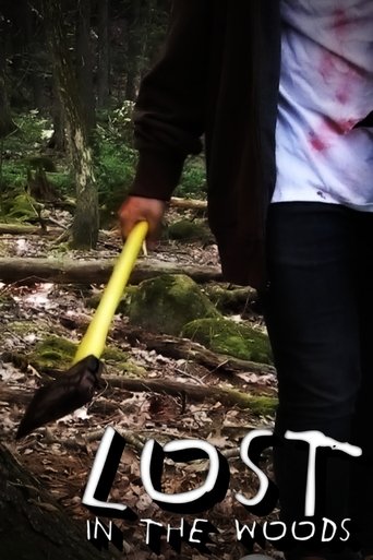 Poster of Lost In The Woods