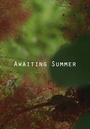 Awaiting Summer Poster of Awaiting Summer