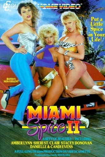 Poster of Miami Spice II