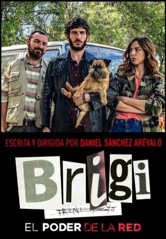 Poster of Brigi: El poder de la red