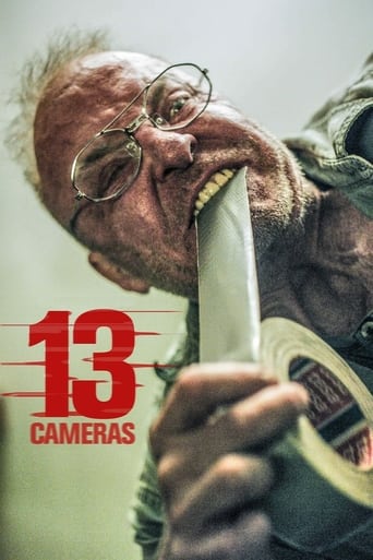 Poster of 13 Cameras