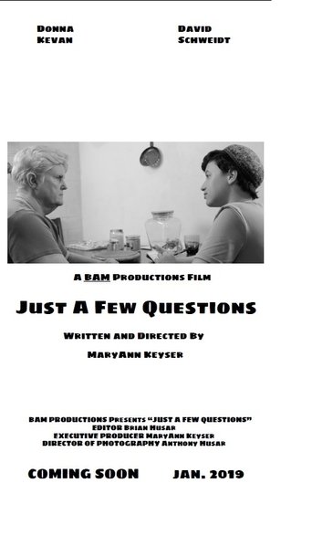 Poster of Just a Few Questions