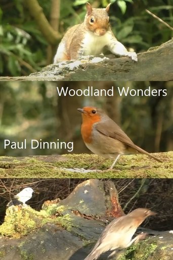 Poster of Woodland Wonders