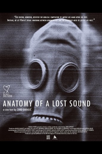 Poster of Anatomy of a Lost Sound