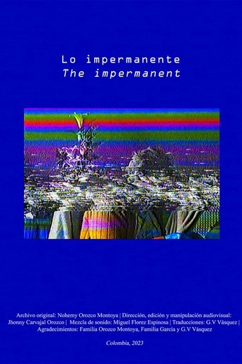 Poster of Lo impermanente