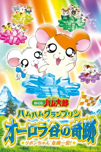 Poster of Hamtaro: Miracle in Aurora Valley