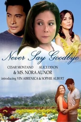 Poster of Never Say Goodbye