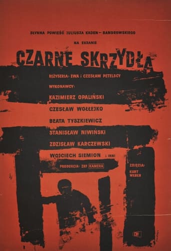 Poster of Czarne skrzydła