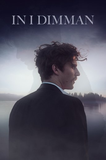 Poster of In i dimman
