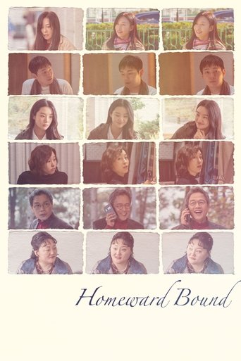 Poster of Homeward Bound