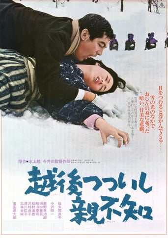 Poster of A Story from Echigo