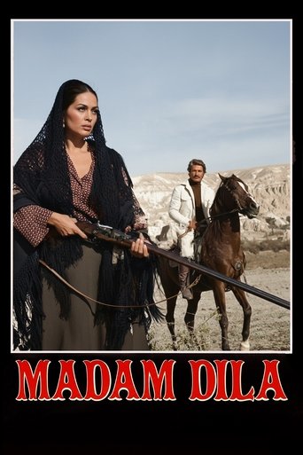 Poster of Madam Dilâ