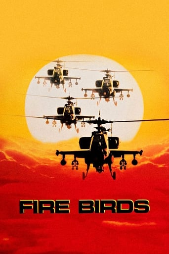 Poster of Fire Birds