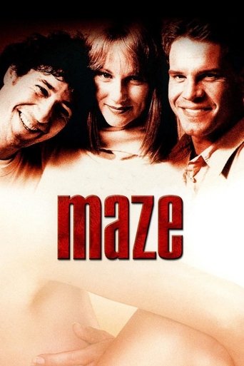 Poster of Maze
