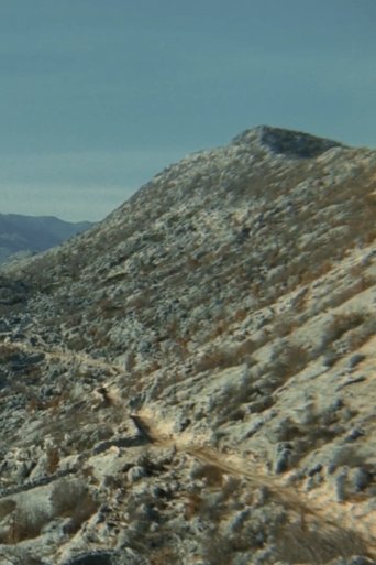 The Road Poster of The Road