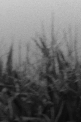 The Scythe Poster of The Scythe