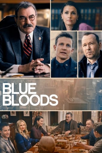 Portrait for Blue Bloods - Season 13