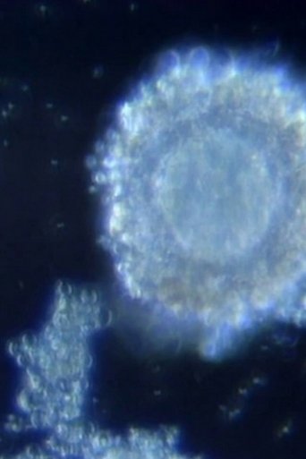 Fertilization in Video Poster of Fertilization in Video