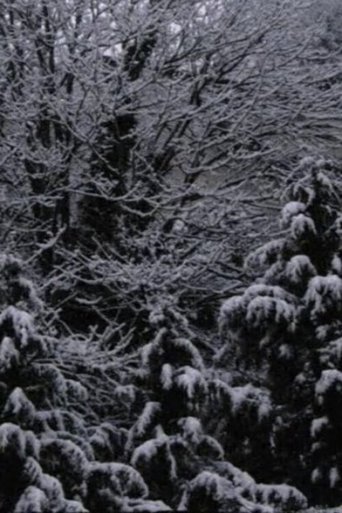Snow Film Poster of Snow Film
